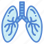 breath, lung, medical, organ 