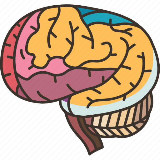 Brain, cerebellum, neuron, think, intelligence icon - Download on Iconfinder