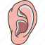 ear, hearing, sound, auditory, human 