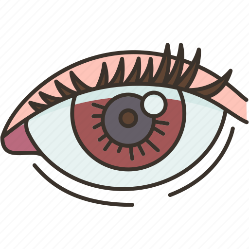 Eye, ocular, optic, vision, human icon - Download on Iconfinder