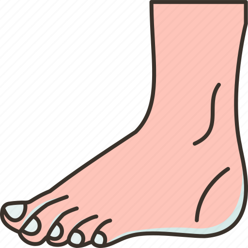 Foot, ankle, leg, podiatry, walk icon - Download on Iconfinder