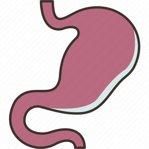 Stomach, digestive, organ, gastrointestinal, duodenum icon - Download on Iconfinder