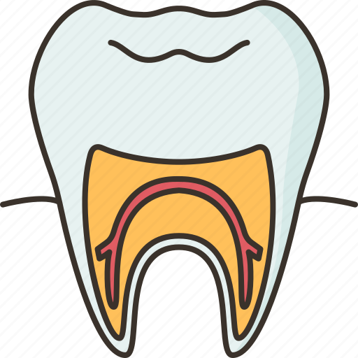 Tooth, calcium, molar, dental, anatomy icon - Download on Iconfinder