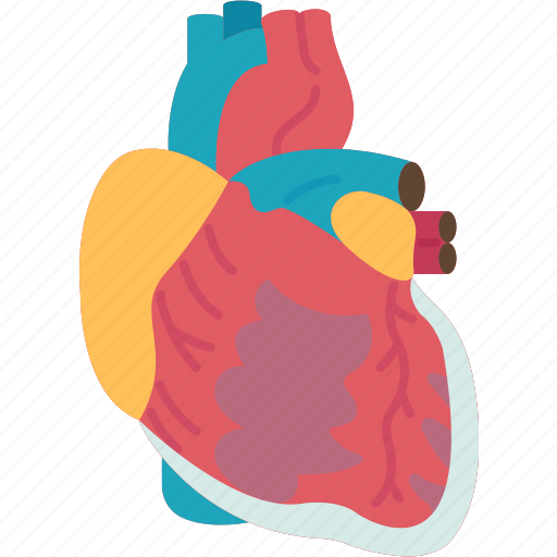Heart, cardiac, aorta, blood, pumping icon - Download on Iconfinder