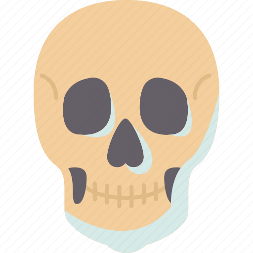 Skull, human, head, death, skeleton icon - Download on Iconfinder