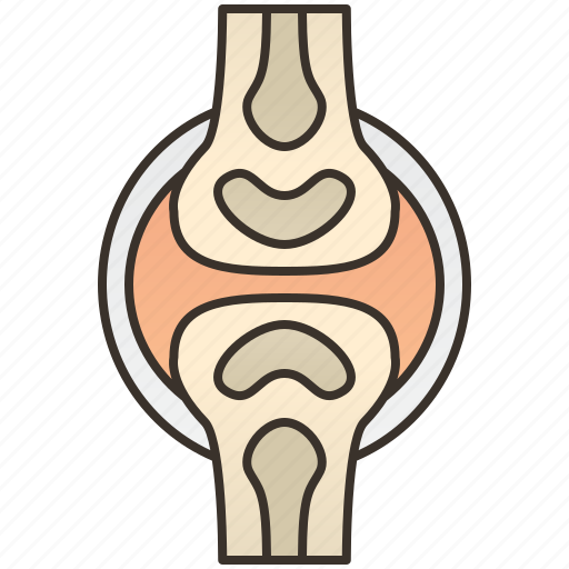 Bones, cartilage, joints, ligament, orthopedic icon - Download on Iconfinder