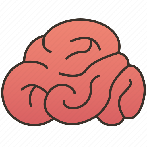 Brain, cerebellum, intelligence, mind, neuron icon - Download on Iconfinder