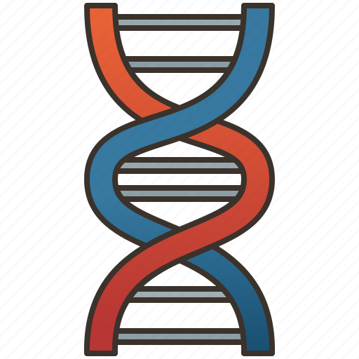 Chromosome, dna, genetic, helix, molecular icon - Download on Iconfinder