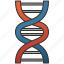 chromosome, dna, genetic, helix, molecular 