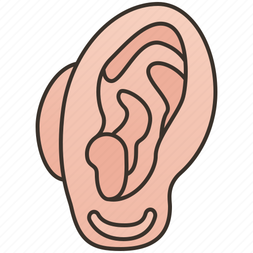 Audible, ear, hearing, human, sound icon - Download on Iconfinder