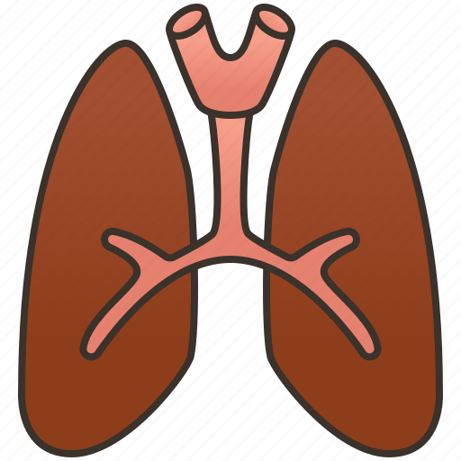 Breathe, lungs, pulmonary, respiratory, trachea icon - Download on Iconfinder