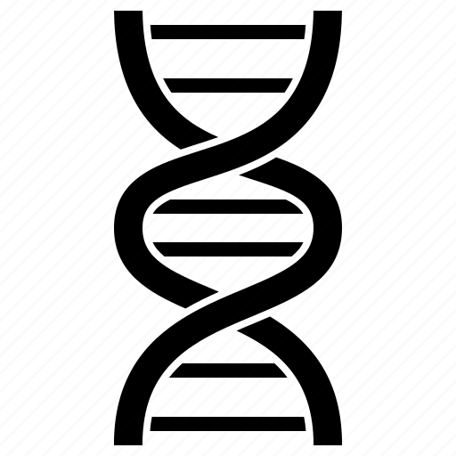Chromosome, dna, genetic, helix, molecular icon - Download on Iconfinder