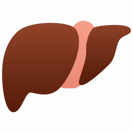 Anatomy, cirrhosis, gallbladder, hepatic, livers icon - Download on Iconfinder