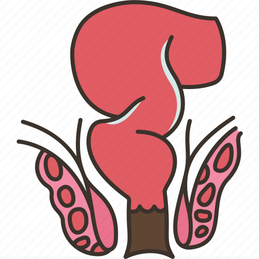 Anal, canal, rectum, fecal, tract icon - Download on Iconfinder