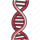 dna, helix, nucleotides, genetic, molecular
