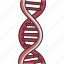 dna, helix, nucleotides, genetic, molecular 