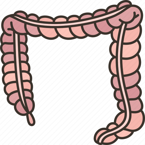 Large, intestine, colon, rectum, excrement icon - Download on Iconfinder