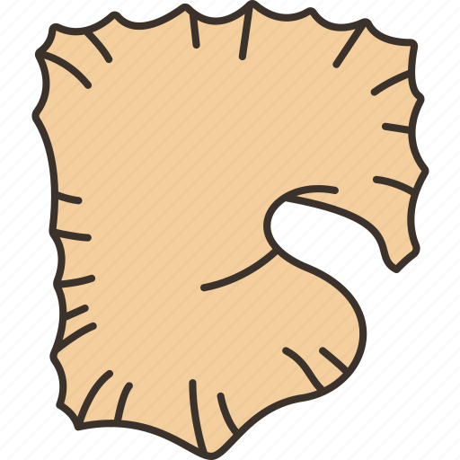 Mesentery, abdominal, wall, attach, bowel icon - Download on Iconfinder