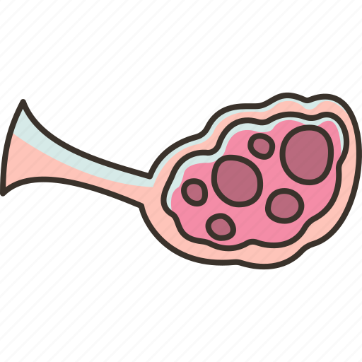Ovaries, female, eggs, reproductive, system icon - Download on Iconfinder