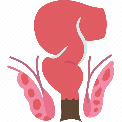 Anal, canal, rectum, fecal, tract icon - Download on Iconfinder