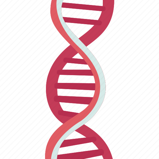 Dna, helix, nucleotides, genetic, molecular icon - Download on Iconfinder