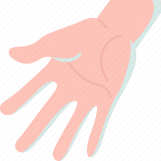Hand, palm, human, limps, fingers icon - Download on Iconfinder