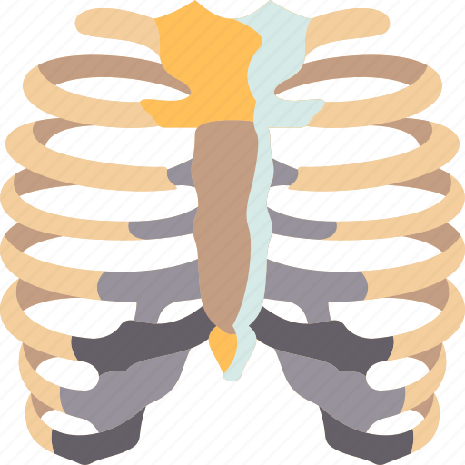Ribs, cage, thorax, skeleton, bones icon - Download on Iconfinder