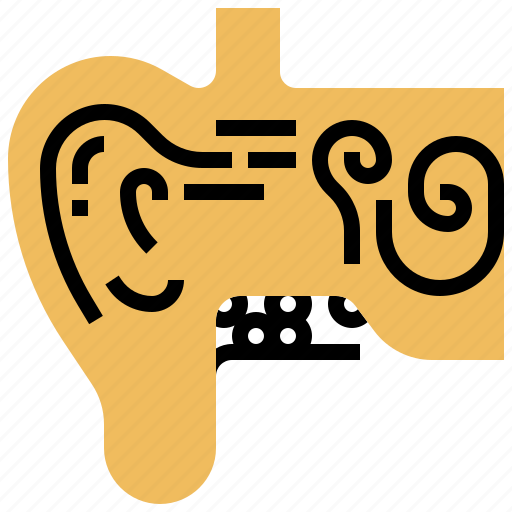 Anatomy, cochlea, earlobe, hearing, tympanic icon - Download on Iconfinder