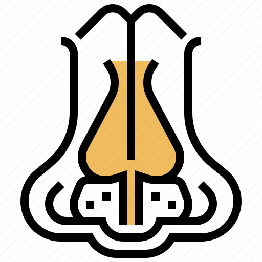 Breathing, cartilage, nose, sinus, smell icon - Download on Iconfinder