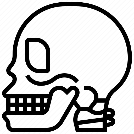 Bone, head, human, skeleton, skull icon - Download on Iconfinder
