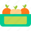 food, fruit, fruits, healthy, orange, icon 