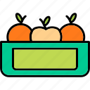 food, fruit, fruits, healthy, orange, icon