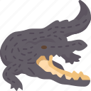 crocodile, reptile, predator, wildlife, river