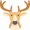 deer, antler, head, hunt, decor