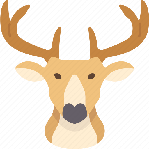 Deer, antler, head, hunt, decor icon - Download on Iconfinder
