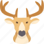 deer, antler, head, hunt, decor 