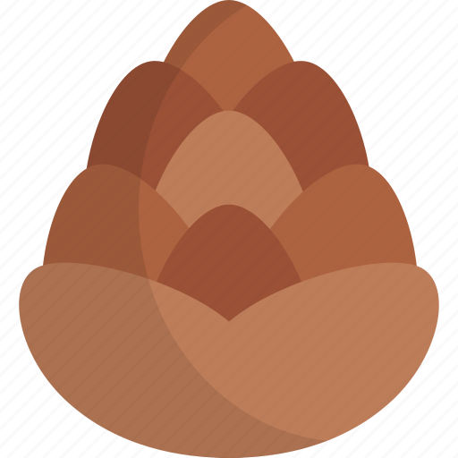 Pinecone, conifer cone, nature, seed, pine tree icon - Download on Iconfinder