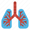 covid, lungs, medical, organs, respiratory 