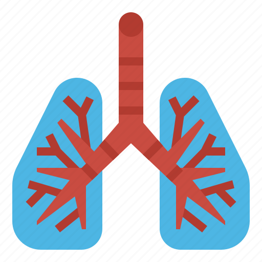 Covid, lungs, medical, organs, respiratory icon - Download on Iconfinder