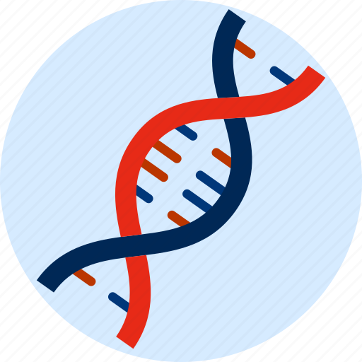 Constructed, dna spiral, genetic, laboratory, science icon - Download on Iconfinder