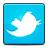 Bird, social, twitter icon - Free download on Iconfinder