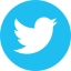 twitter, social media, tweet, bird, social, logo 