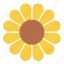 flower, meadow, nature, plant, sunflower, bloom 