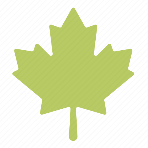 Environment, leaf, maple, nature, plant, tree icon - Download on Iconfinder