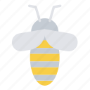 bee, bee keeping, beehive, honey, insect, wasp, hornet