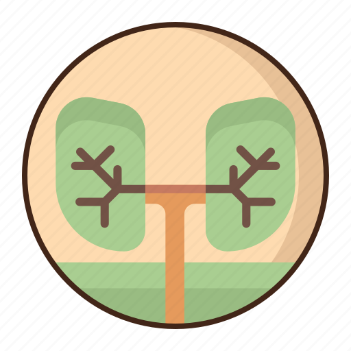 Lungs, the, world, ecology icon - Download on Iconfinder
