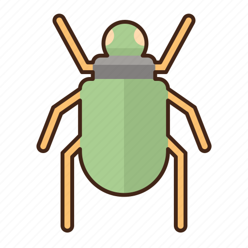 Scarab, bug, insect icon - Download on Iconfinder