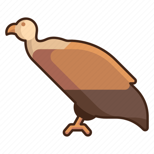 Vulture, bird, animal, wild icon - Download on Iconfinder