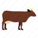 agriculture, animal, beef, bovine, bull, cow, veal