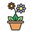 flower, gerbera, daisy, nature, indoor, plant 